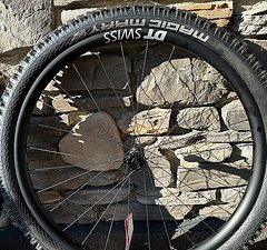 DT Swiss EXC 1501 Spline One Mullet 29"/27,5"