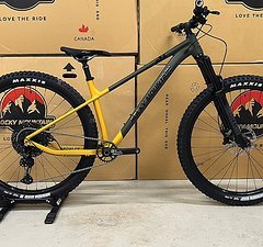 Rocky Mountain Growler 50 Gold / Green Gr. XL Komplettbike