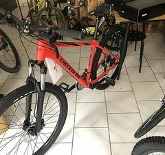 Checker Pig "Pig Patrol" 21-Gang 27.5", RH 44 cm
