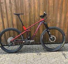 Canyon Strive CF 7.0 Enduro 2020 29“ L Shimano XT Saint Fox 36