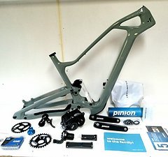 Instinctiv M9(coyote)Carbon 29"140mm+Pinion C1.12 (gates nicolai ebike)