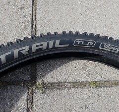 Wolfpack Trail 29" x 2.4" TLR ToGuard