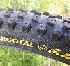 Continental Argotal DH Super Soft 29x2,4