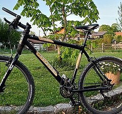 Cannondale F 500