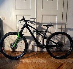 Specialized Enduro Custom