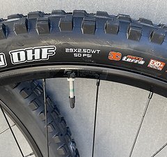 Maxxis Minion DHF, 29x2.50WT, EXO+ TR, 3C MaxxTerra, NEU