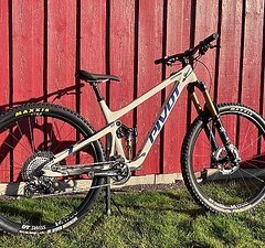 Pivot Cycles Switchblade