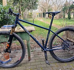 Norwid Gorm 29