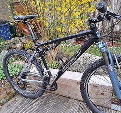 Steppenwolf Tundra FS