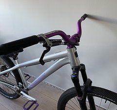 Santa Cruz Jackal Custom PT DJ bike
