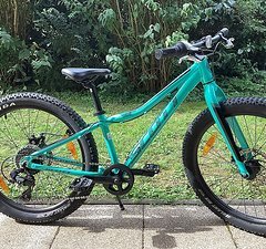 Scott Roxter 24“