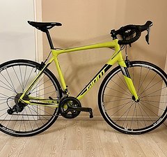 Giant Contend SL 2