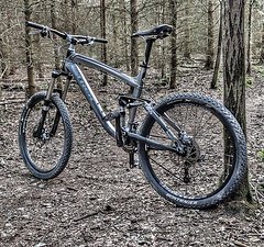 Trek Remedy 7