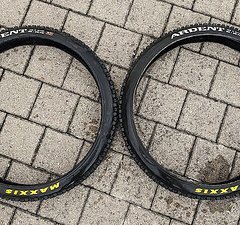 Maxxis Ardent 26x2.4" EXO