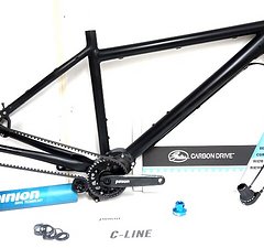 Müsing Hard tail MTB 29" bike frame+Pinion C1.12+Gates CDX belt drive train