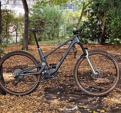 Forbidden Druid (L, Zipp 3ZERO MOTO,...)