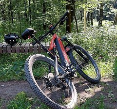Rotwild RX+