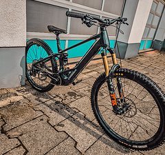 Orbea Wild H10 Custom 2024