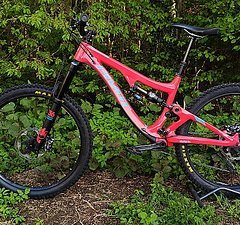 Pivot Cycles Firebird