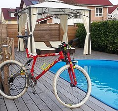 PRO Flex 856 (MTB von ehemals deutschem Meister!)