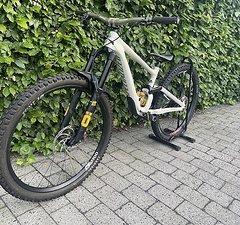 Specialized Enduro custom