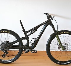 Specialized Stumpjumper 15 Custom Aufbau