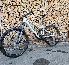 Pivot Cycles SHUTTLE AM Frameset mit Vivid Ultimate
