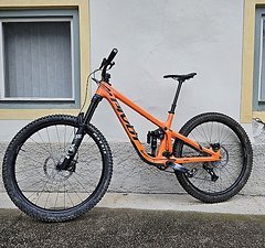 Pivot Cycles Firebird Gr. M