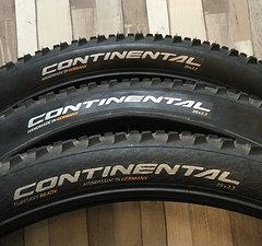 Continental 3 x Cross King RaceSport ProTection 29 x 2,3