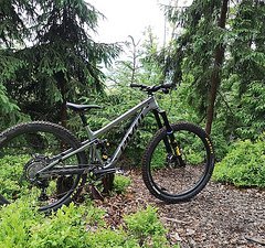 Pivot Cycles Trail 429