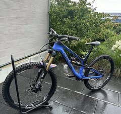 Canyon Torque CF 9 Rahmengröße L Bj. 2022