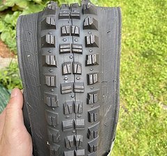 WTB Judge