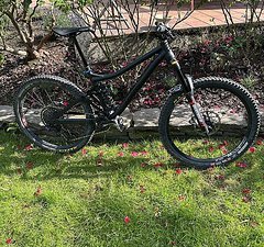 Last Bikes Coal (V02) Custom Gr. L
