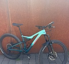 Specialized 29" Stumpjumper S-Works Carbon Rahmengröße M