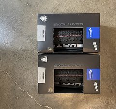 Schwalbe Thunder Burt