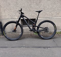 Propain Tyee CF 29" 2022 Gr. L - Super Zustand (Jobrad)