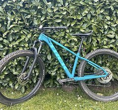 Trek Roscoe