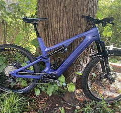 Canyon Spectral:ON CF 8.0