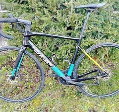 Wilier Garda Rennrad 8/23 Größe L