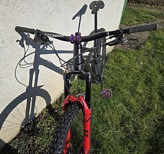 Raaw Madonna V2.0 XL Coil Fahrwerk, grosser Service, viel neu