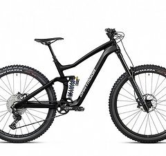 Dartmoor Thunderbird CF Evo Carbon 29" | Matt Black/Grey  Gr. M oder L