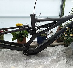 Specialized *neuer* Stumpjumper Carbon Rahmen S3