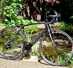 Specialized Roubaix S-Works neue Campagnolo Record 12f. Carbon M/L 56cm leicht