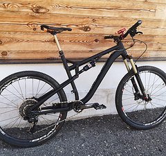 Transalp Signature II X12 - 12,49kg Gr. L, 27,5"/650b, viel Carbon, 120-160mm