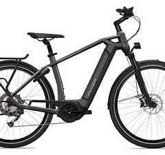 Flyer E- Bike Flyer Gotour6 3.10 gents  - RH: L-Auslaufmodell