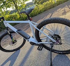 Bulls LT Performance E-Bike 29" 54cm Neuwertig