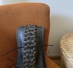 Maxxis Assegai 3C MAXXTERRA Exo+ WT TR 29x2.5