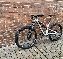 Canyon Spectral AL 6.0 Custom Modelljahr 2019 Gr. M