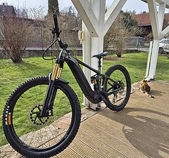 Giant REIGN E+ 0 E-Bike Fully Gr. M Mullet/Pro/750Wh