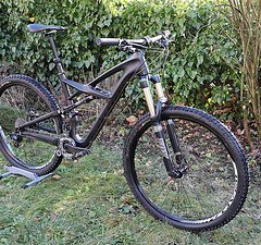 Specialized Enduro Expert SE 29"